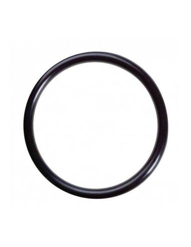 O-ring za posodo DP1, OPUR (Ferrari, Kombi,Linea) 47x3