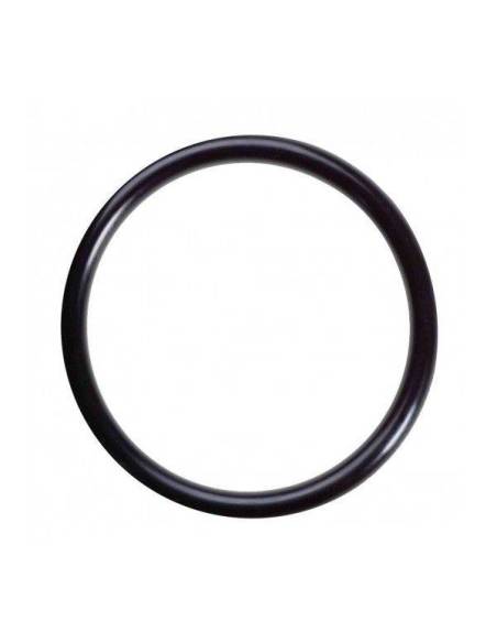 O-ring za posodo DP1, OPUR (Ferrari, Kombi,Linea) 47x3